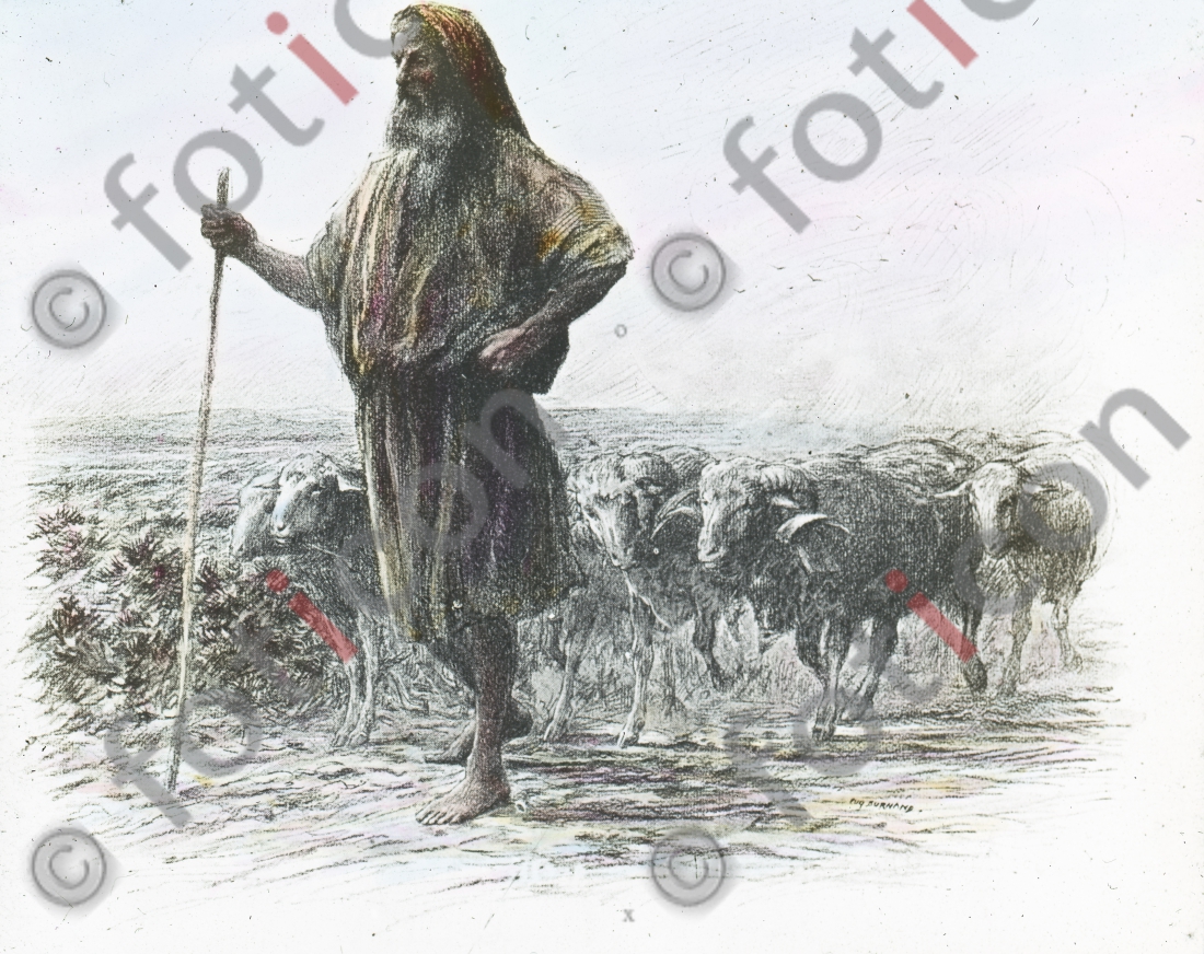  | A shepherd with his flock - Foto foticon-simon-132047.jpg | foticon.de - Bilddatenbank für Motive aus Geschichte und Kultur